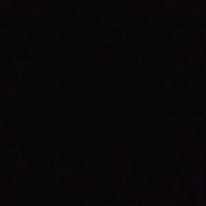 Meet your Posher, Steve